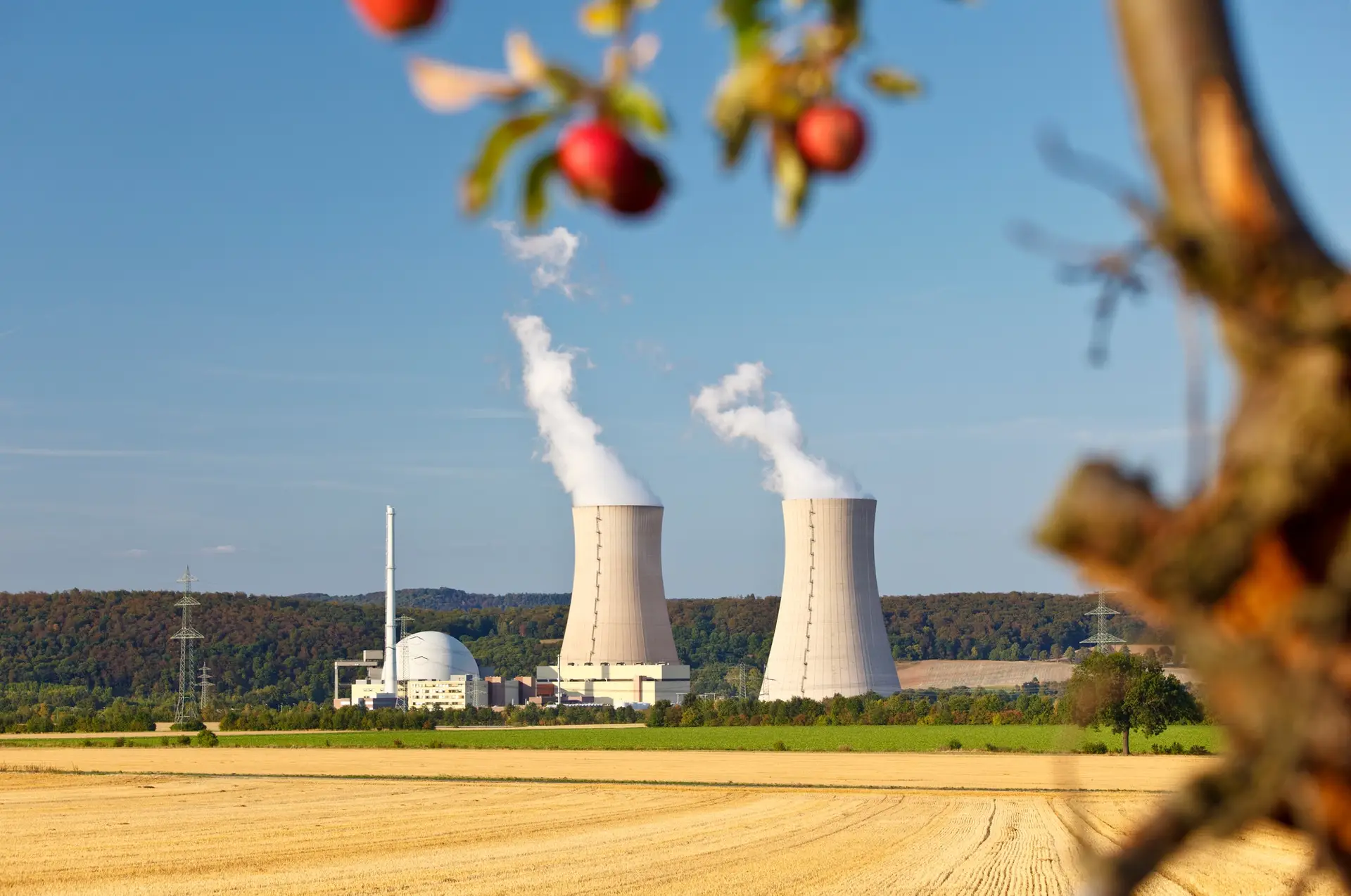 Diablo Power's Nuclear Power Plant